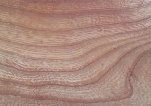Visual material reference: Elm