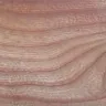 Elm reference sample