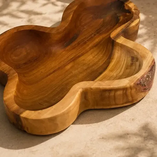 AI-assisted visual representation of the Terra Duo Bowl design, detail view